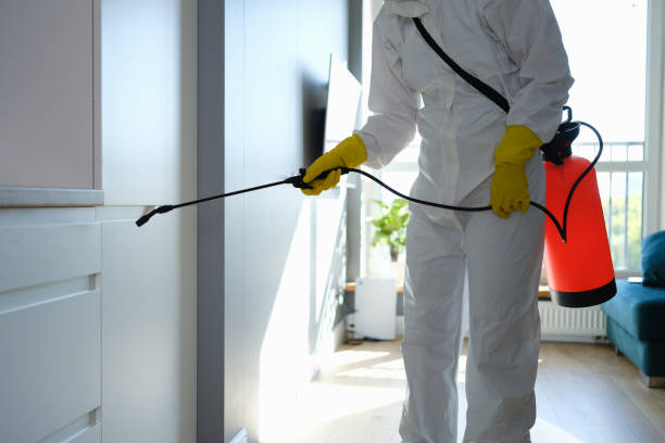 Best Emergency Mold Remediation in Jamestown, ND